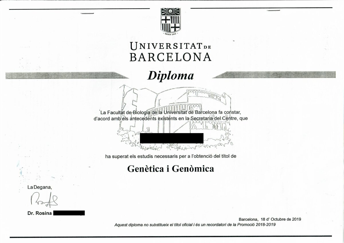 A sample degree from Spain