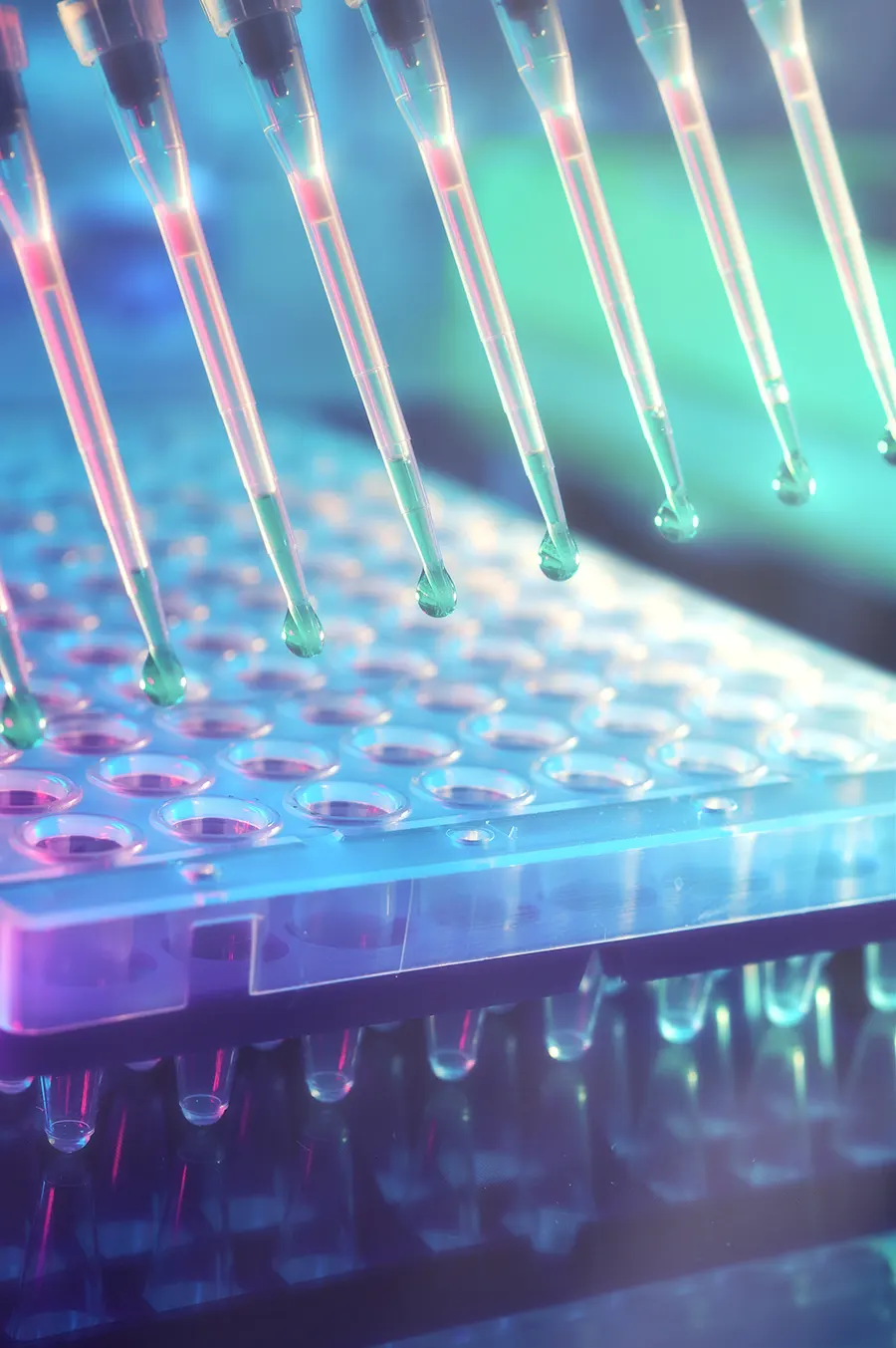 State registration of medical devices and medicine for Russia and EAEU