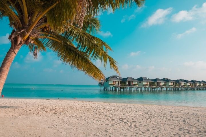Seychelles, Dominica and Anguilla will be removed from the EU blacklist Seychelles, Dominica and Anguilla will be removed from the EU blacklist