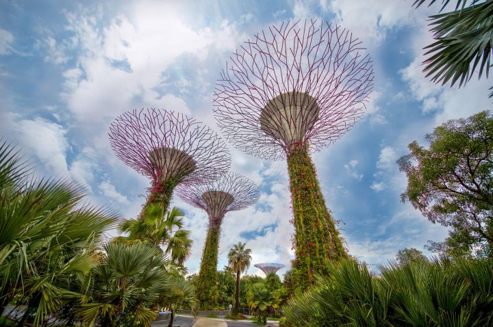 Singapore prepares to introduce online e-apostille Singapore prepares to introduce online e-apostille