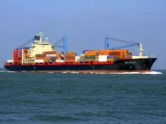 It is established a transition period for the introduction of GTIN and GLN