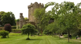 Ireland has closed access to the register of beneficial owners with reservations