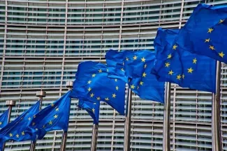 European Commission launched an investigation 