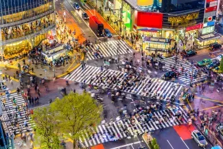 Legalization and recognition of diplomas in Japan