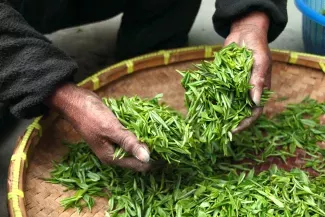 Changes to the lists of foods that are subject to mandatory conformity assessment are being discussed in Russia