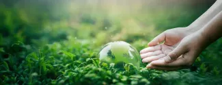 Achieving carbon negativity